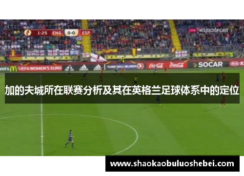 加的夫城所在联赛分析及其在英格兰足球体系中的定位