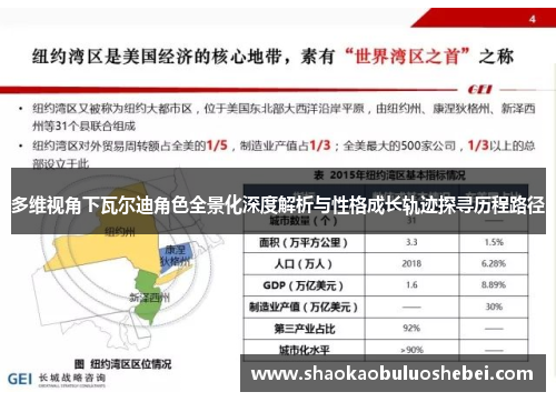 多维视角下瓦尔迪角色全景化深度解析与性格成长轨迹探寻历程路径