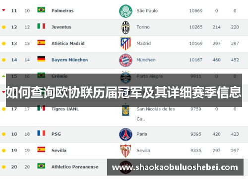 如何查询欧协联历届冠军及其详细赛季信息