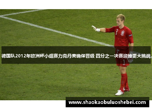 德国队2012年欧洲杯小组赛力克丹麦确保晋级 四分之一决赛迎接更大挑战